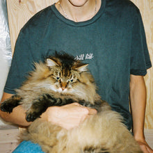 Last inn bildet i Galleri-visningsprogrammet, chill litt-skjorte